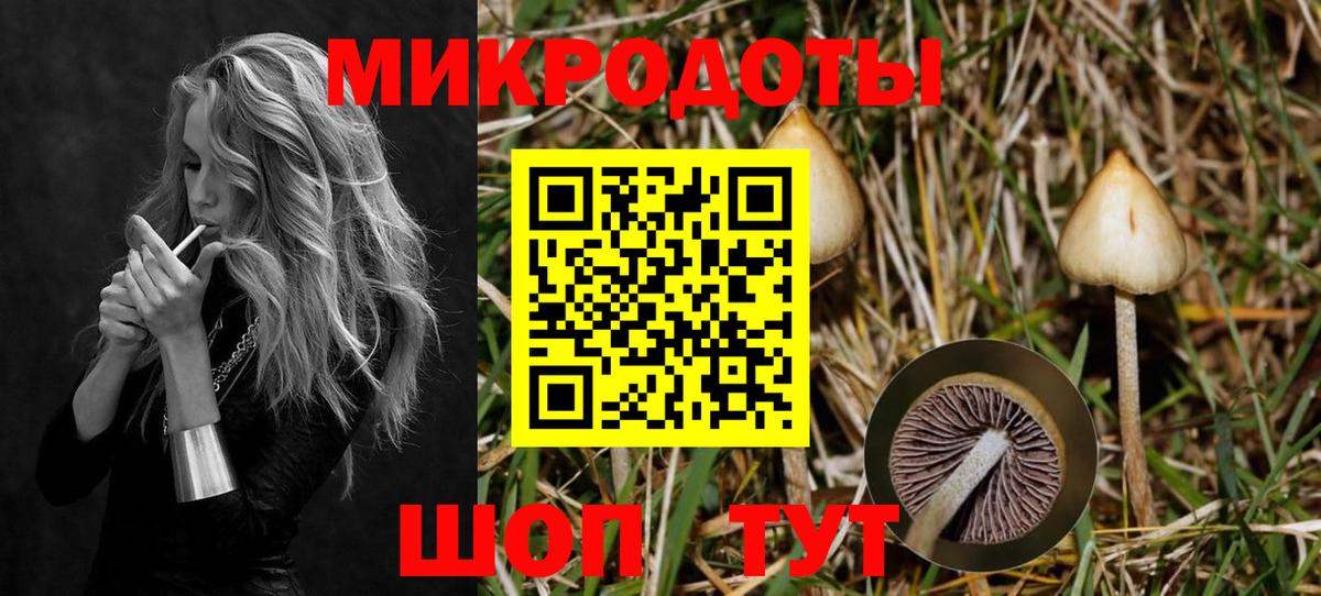 Галлюциногенные грибы мицелий Чебоксары